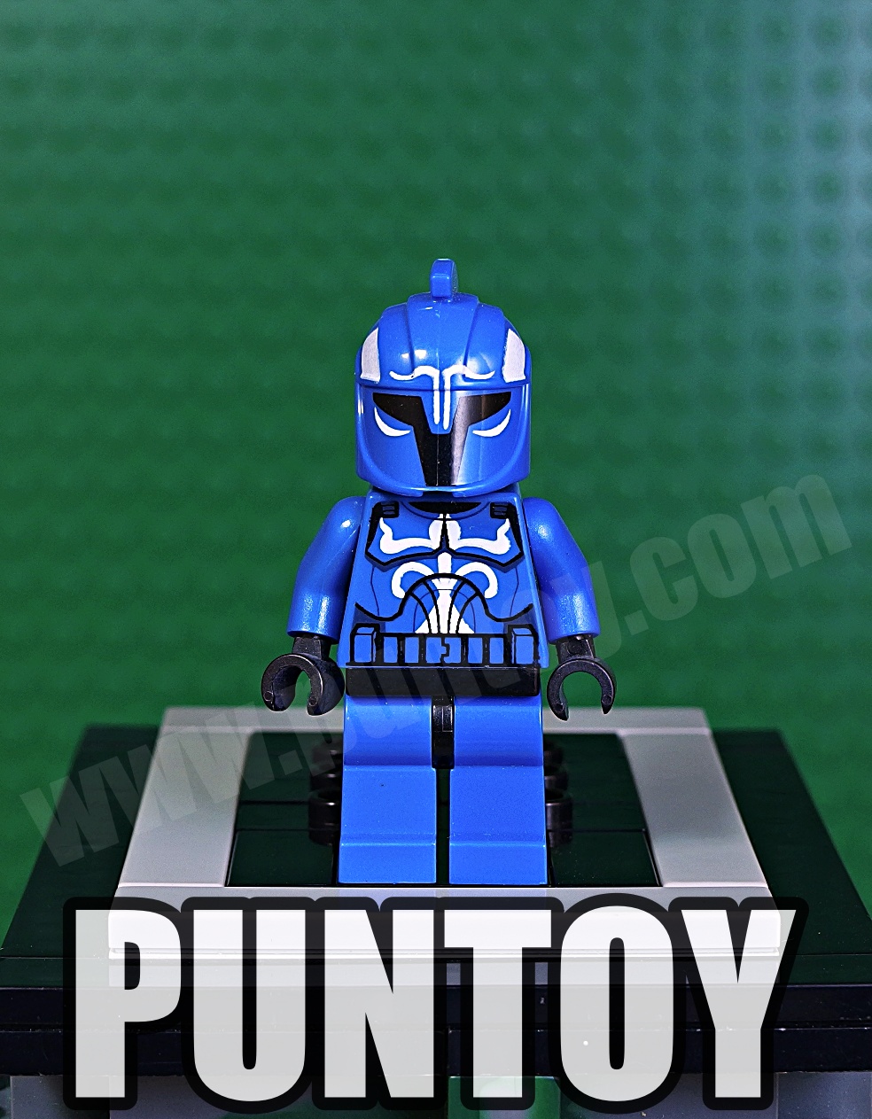 sw0288: Senate Commando Captain