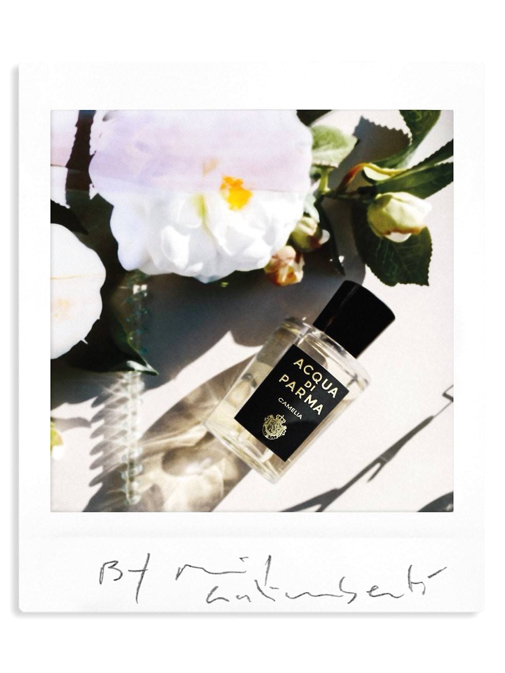 น้ำหอม ACQUA DI PARMA CAMELIA EDP