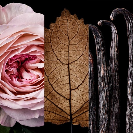 น้ำหอม CAROLINA HERRERA GoodGirl Blush Elixir edp