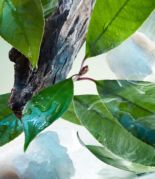 น้ำหอม Bvlgari Pour Homme EDP