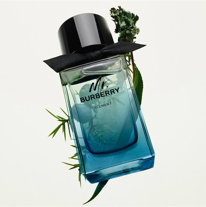 น้ำหอม Mr. Burberry Element EDT 150ml