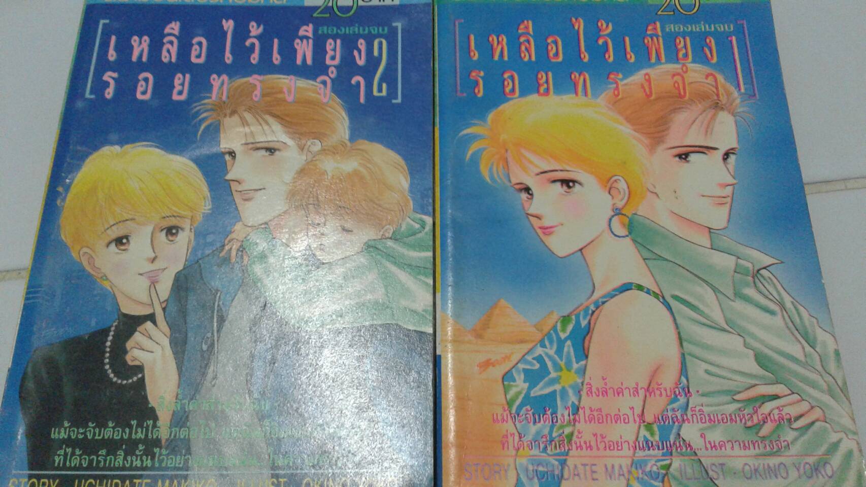 เหลือไว้เพียงรอยทรงจำ เล่ม 1-2 จบ