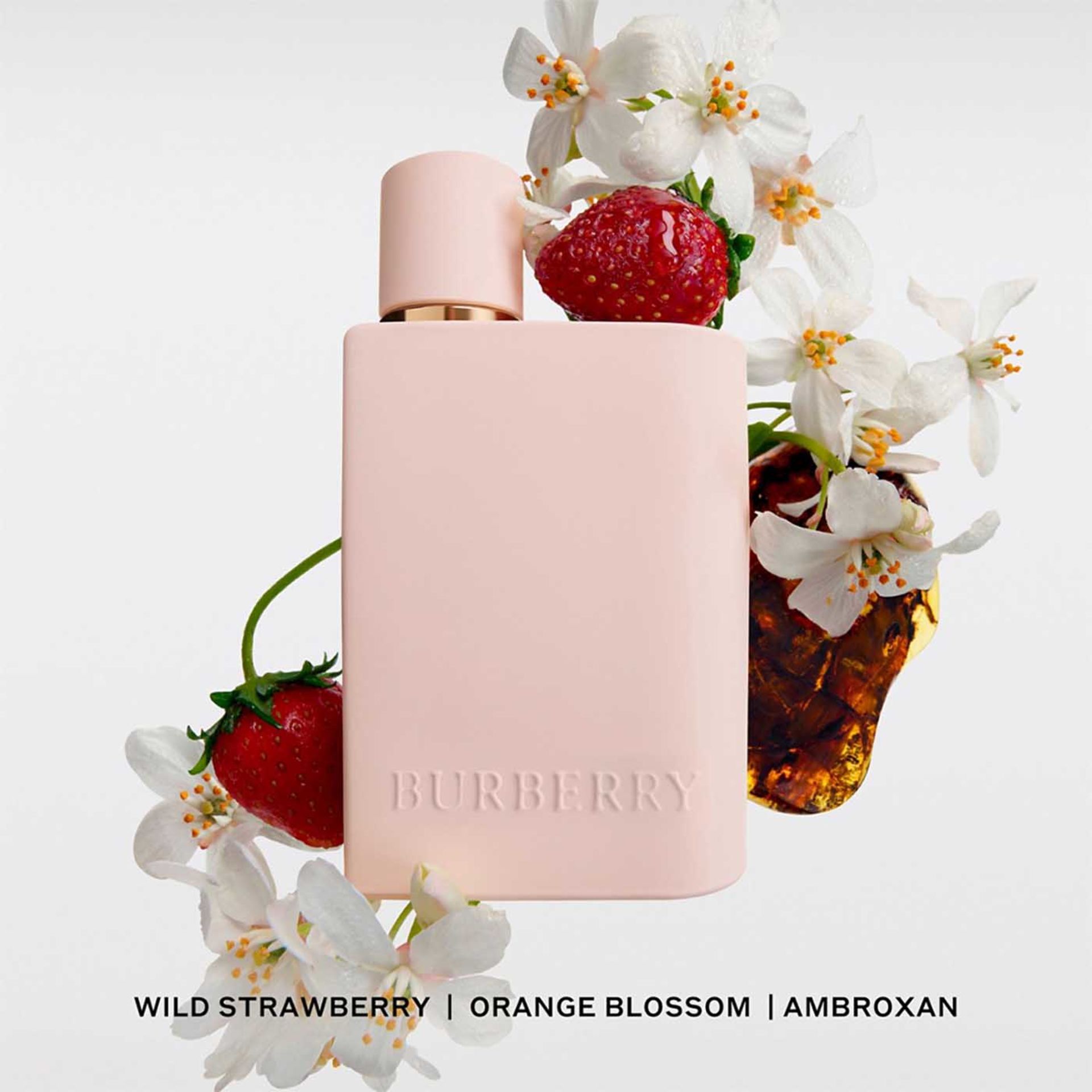 น้ำหอม BURBERRY HER EDP INTENSE