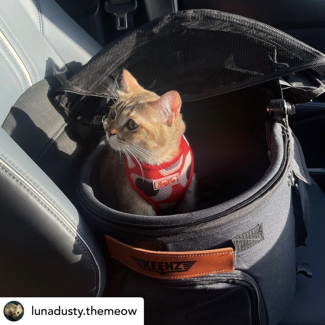 KEENZ รุ่น AIRPETS รถเข็นสัตว์เลี้ยง 3in1 กระเป๋าใส่สัตว์เลี้ยง (พันธุ์เล็ก)