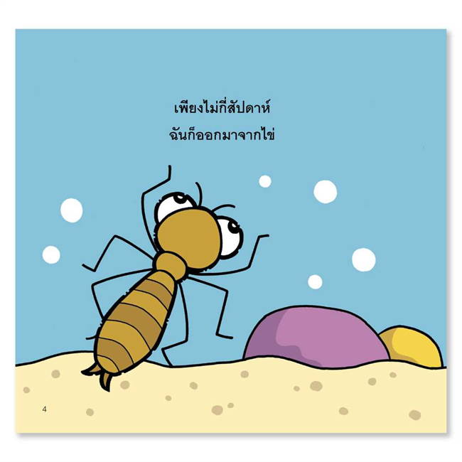Pelangi นิทานเด็ก ชุดนิทาน Hello Animal ปกอ่อน หนังสือนิทานสองภาษา (ไทย-อังกฤษ)