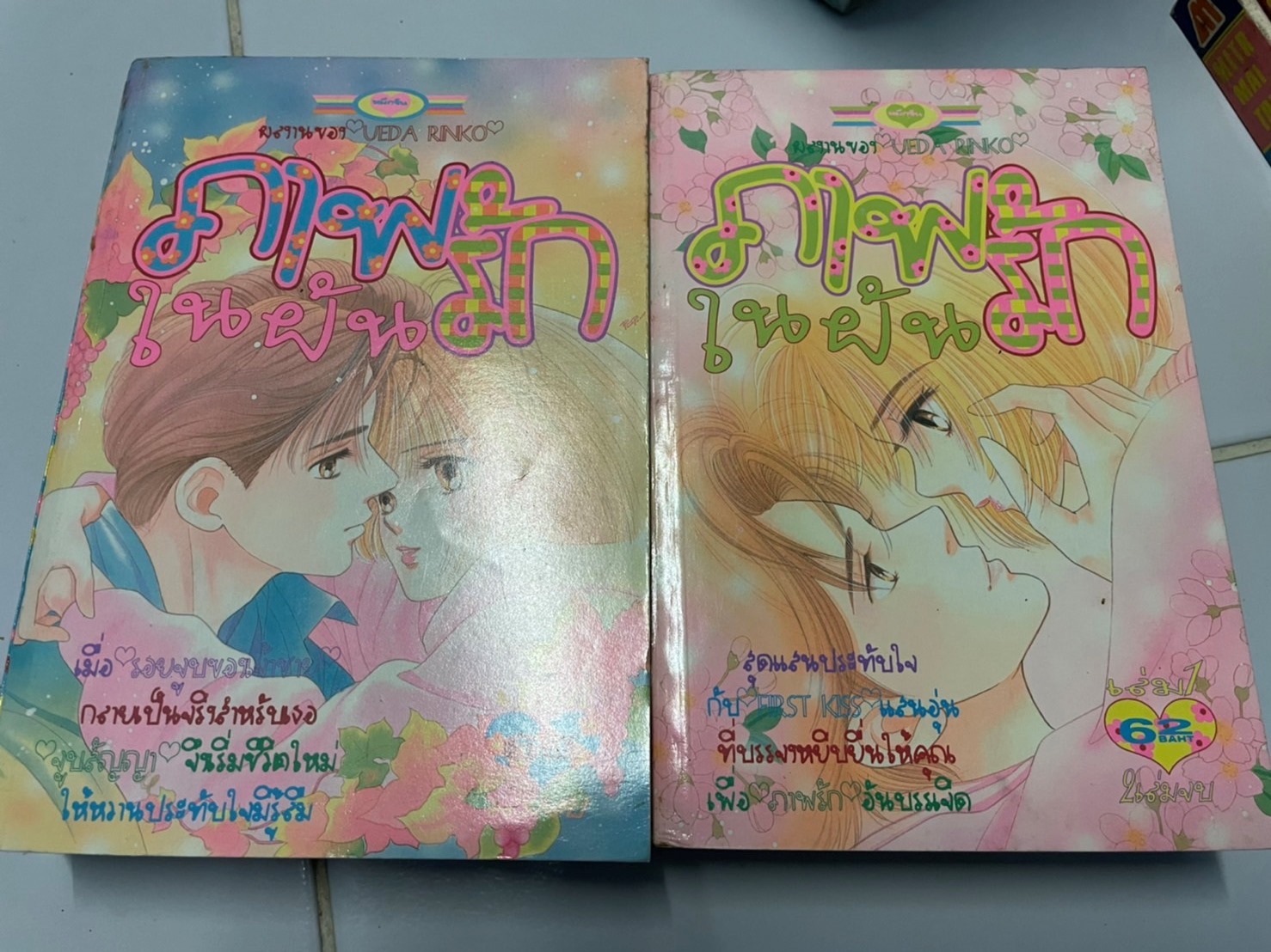 ภาพรักในฝัน เล่ม 1-2 จบ (ฉบับรวมเล่ม)