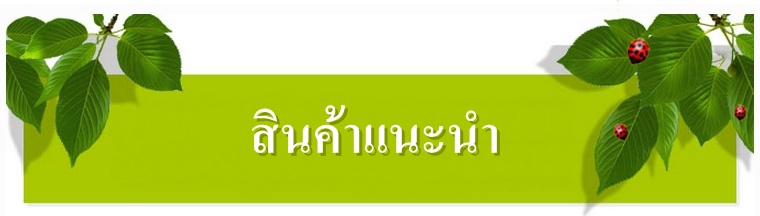 ครีมมาดามออแกนิก madame organic