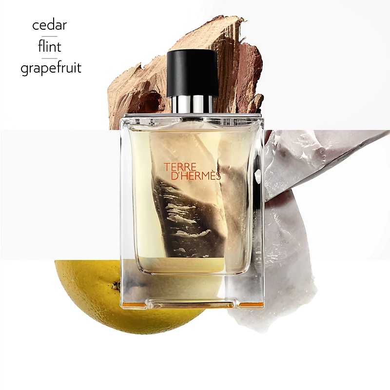 น้ำหอม Terre D Hermes for Men EDT 100 ml.