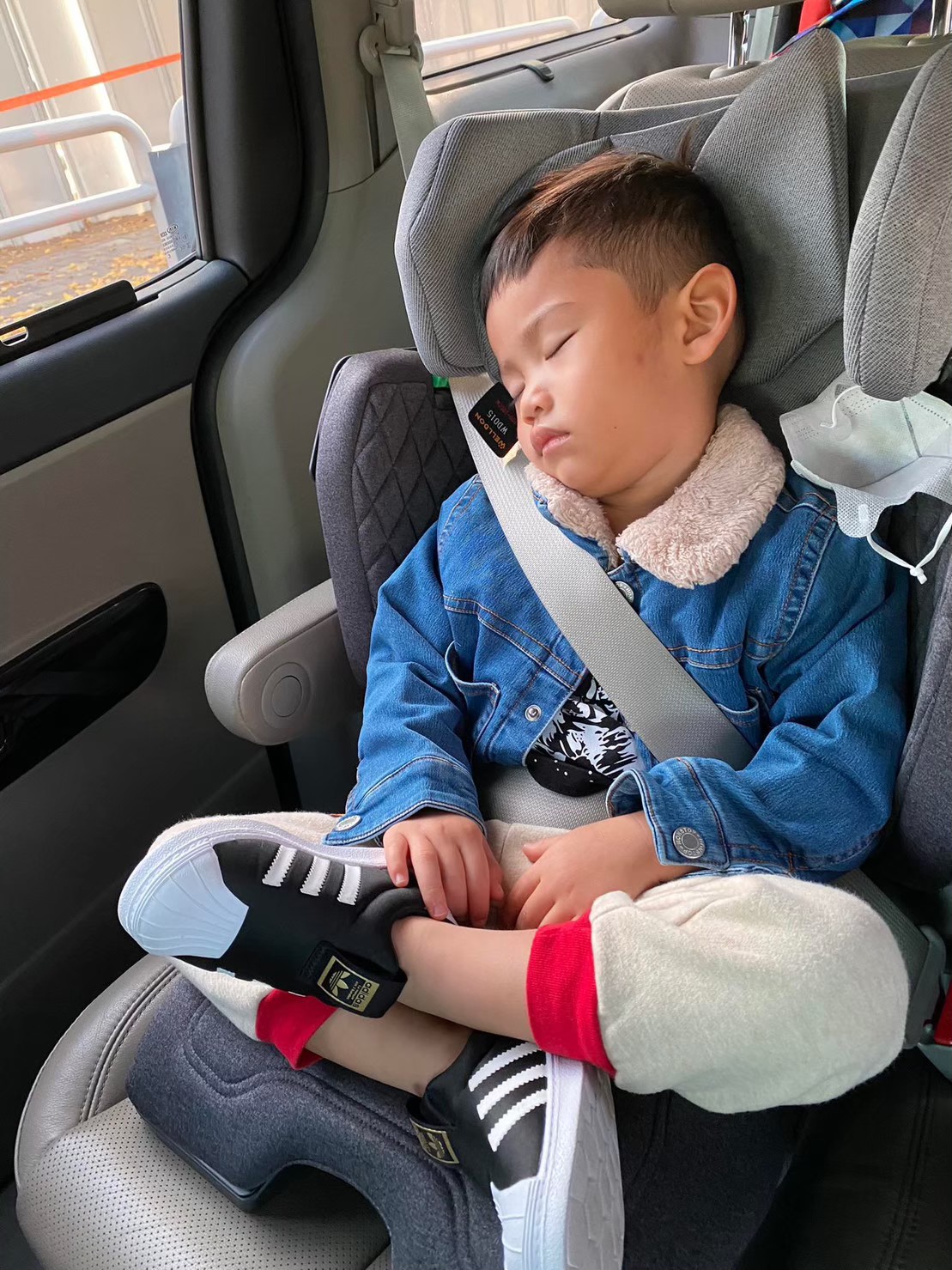 คาร์ซีทเด็กโต Welldon รุ่น Cocoon Trip (3 - 12ปี)