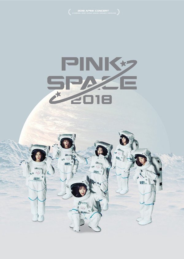 APINK PINKSPACE 2018 CONCERT BOOK - PHOTOBOOK + DVD(1DISC)