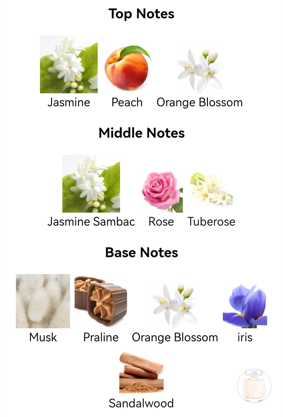 น้ำหอม CREED WIND FLOWERS EDP 75ML