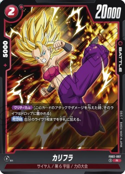 FB02-007 R カリフラ