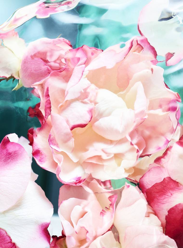 น้ำหอม Bvlgari Rose Goldea Blossom Delight EDP 75ml