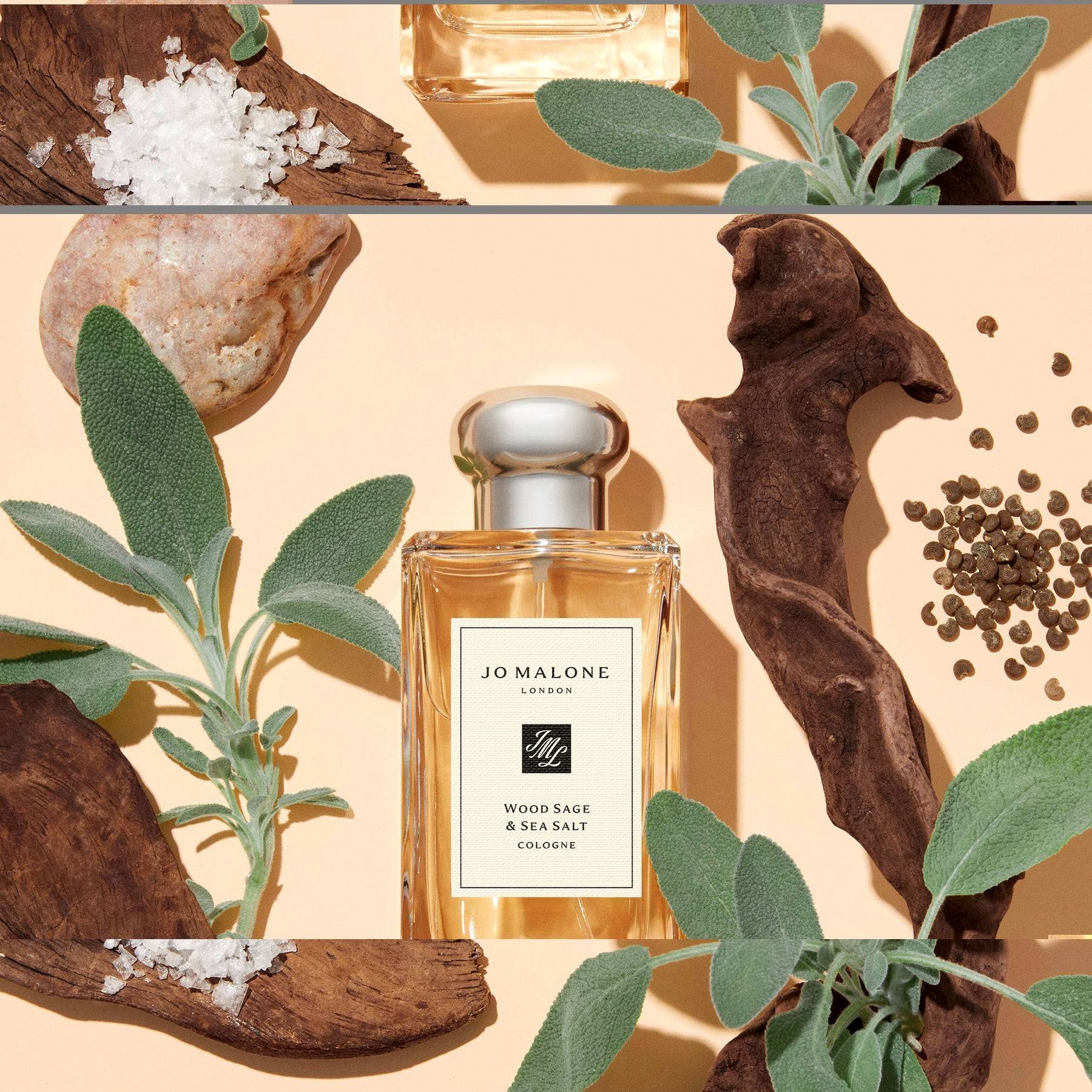 น้ำหอม Jo Malone Wood Sage & Sea Salt Cologne