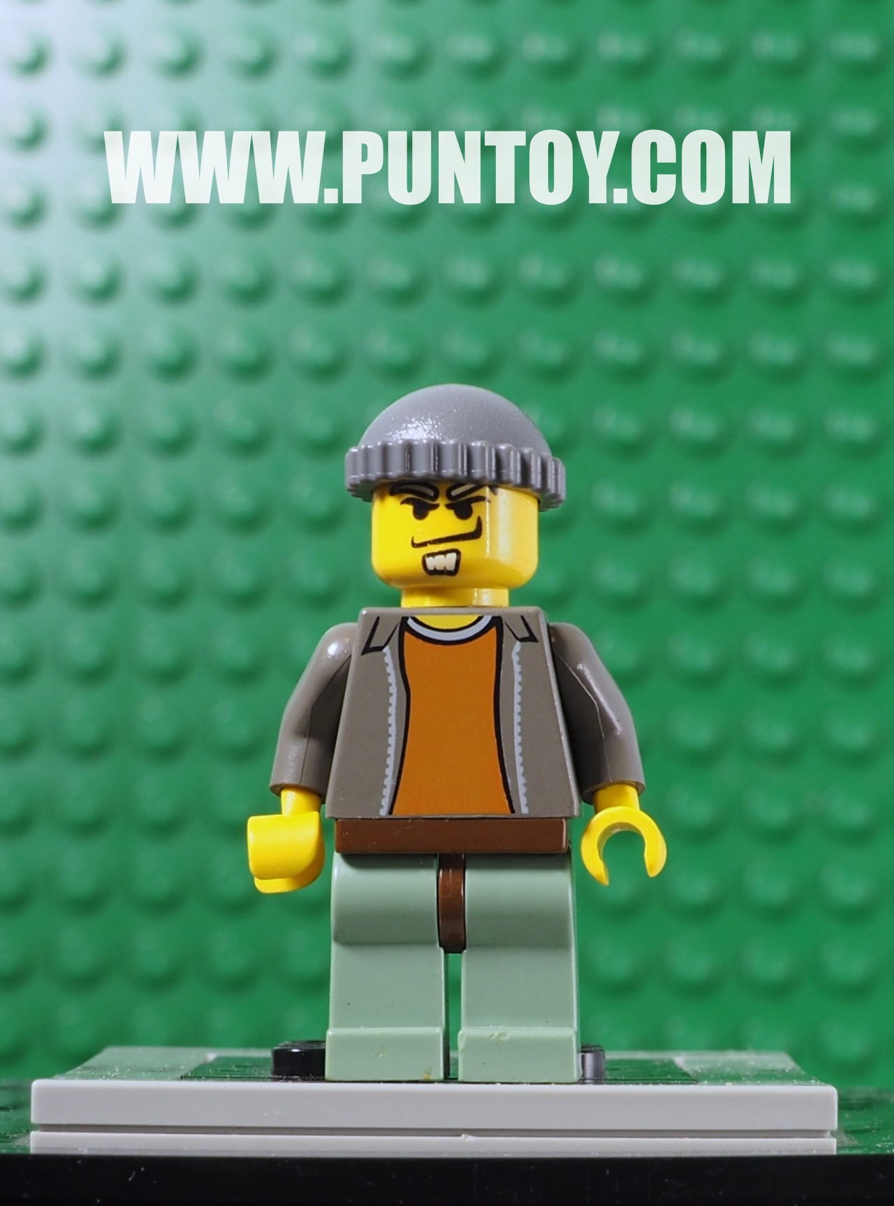 spd011: Criminal (set 4850)