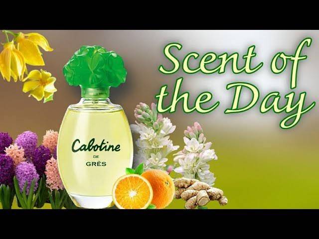 น้ำหอม Cabotine de Gres 100ml