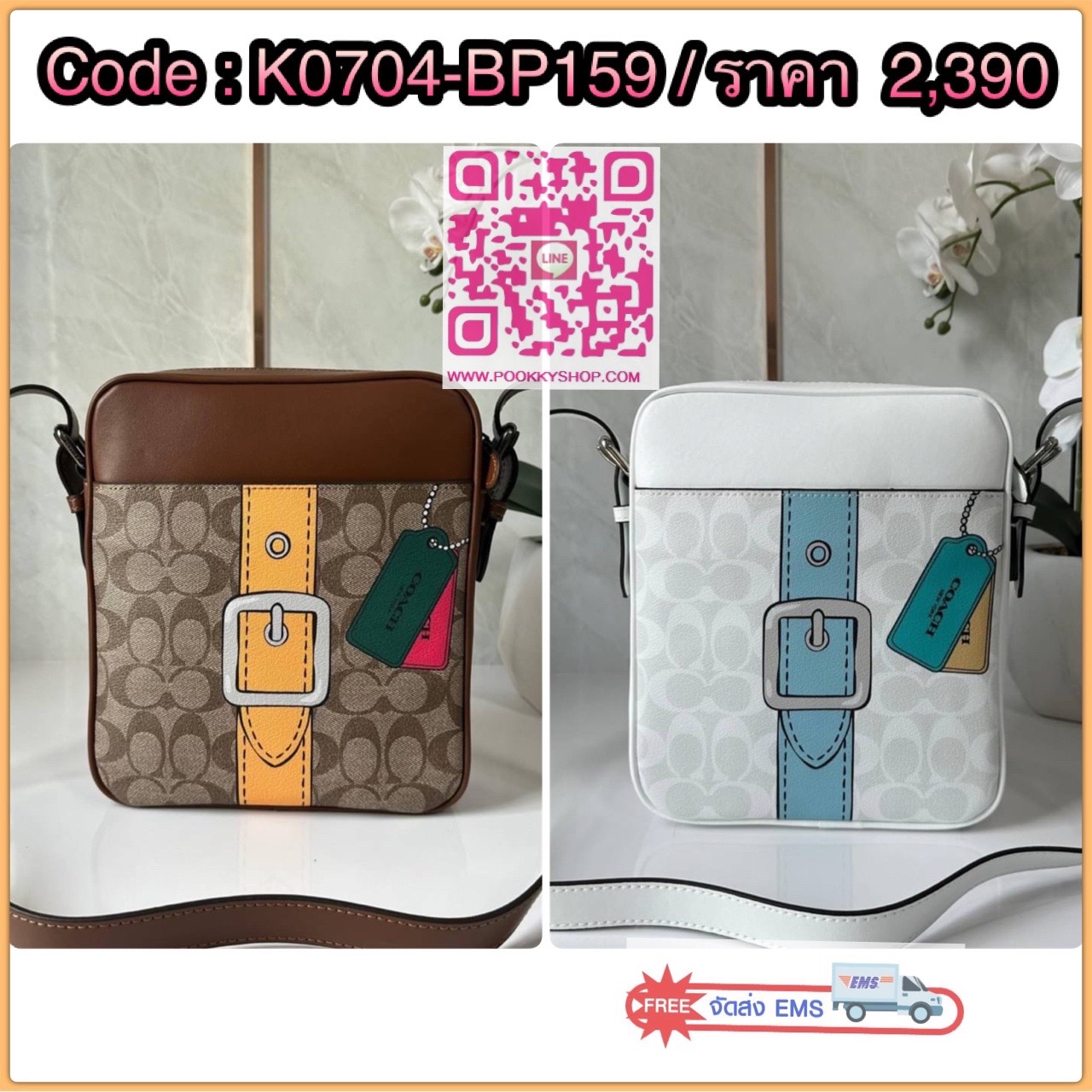 COACH Hudson Crossbody 21 In Signature Canvas With Trompe L'oeil Print (CH200)