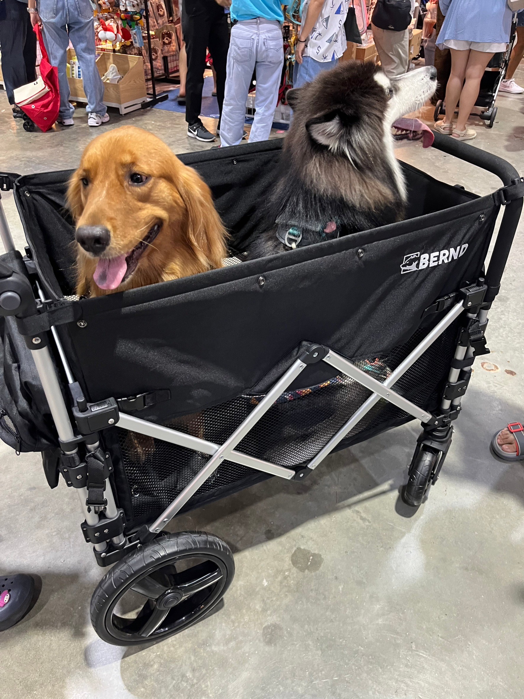 BERND รุ่น Bloom Pet รถเข็นสำหรับสัตว์เลี้ยง รับน้ำหนักได้สูงสุด 100kg.
