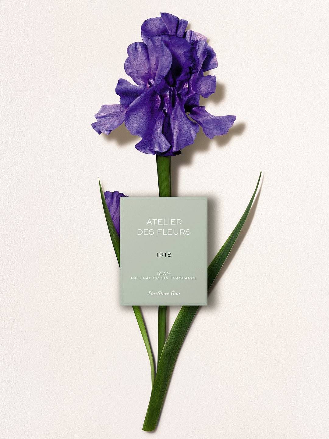 น้ำหอม CHLOE Atelier des Fleurs Iris EDP