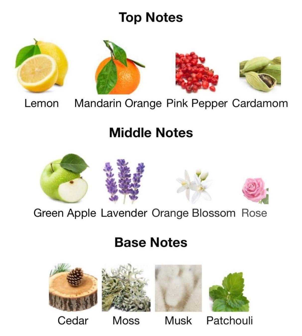 น้ำหอม Afnan 9 AM Pour Femme EDP 100ml