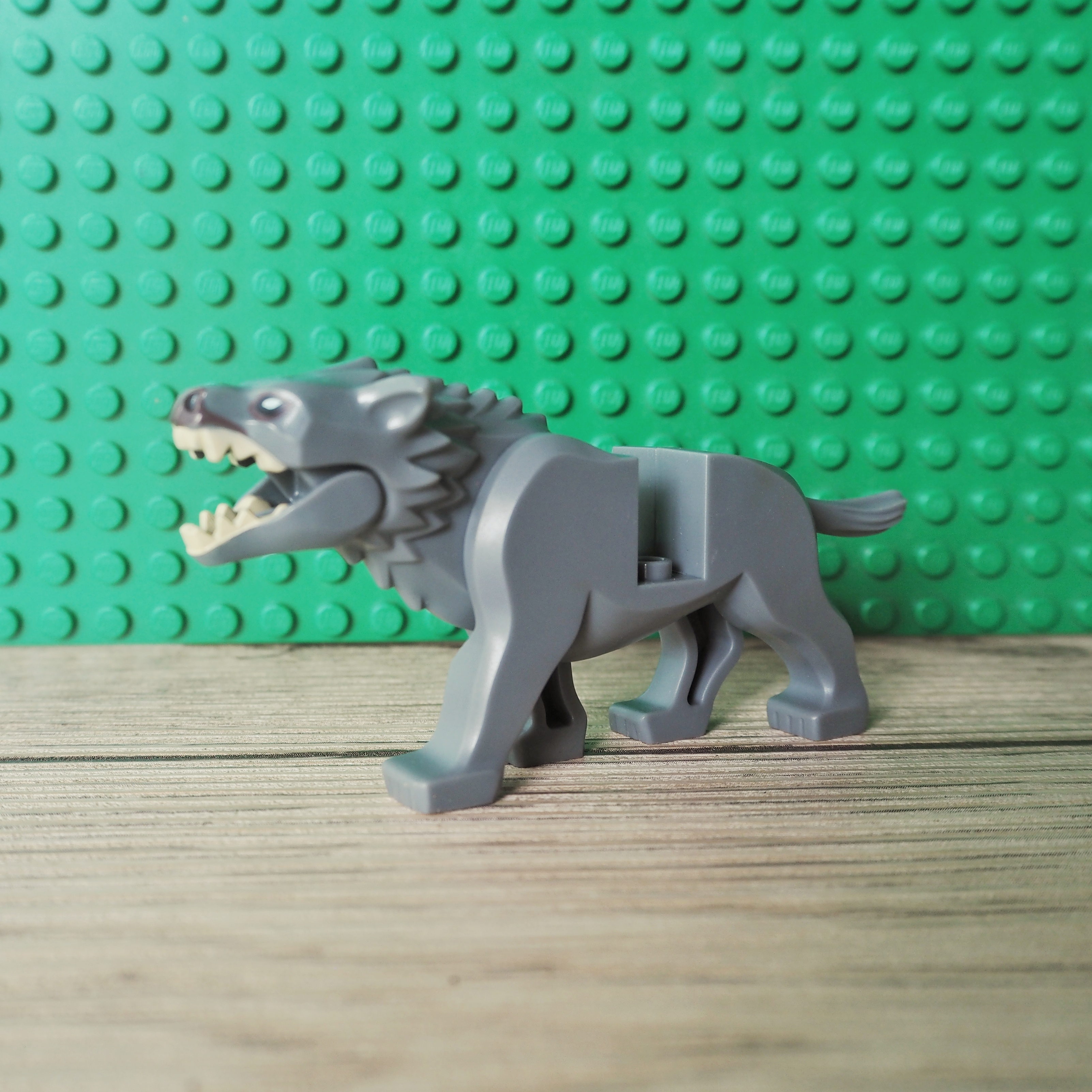 Warg with Dark Brown Nose