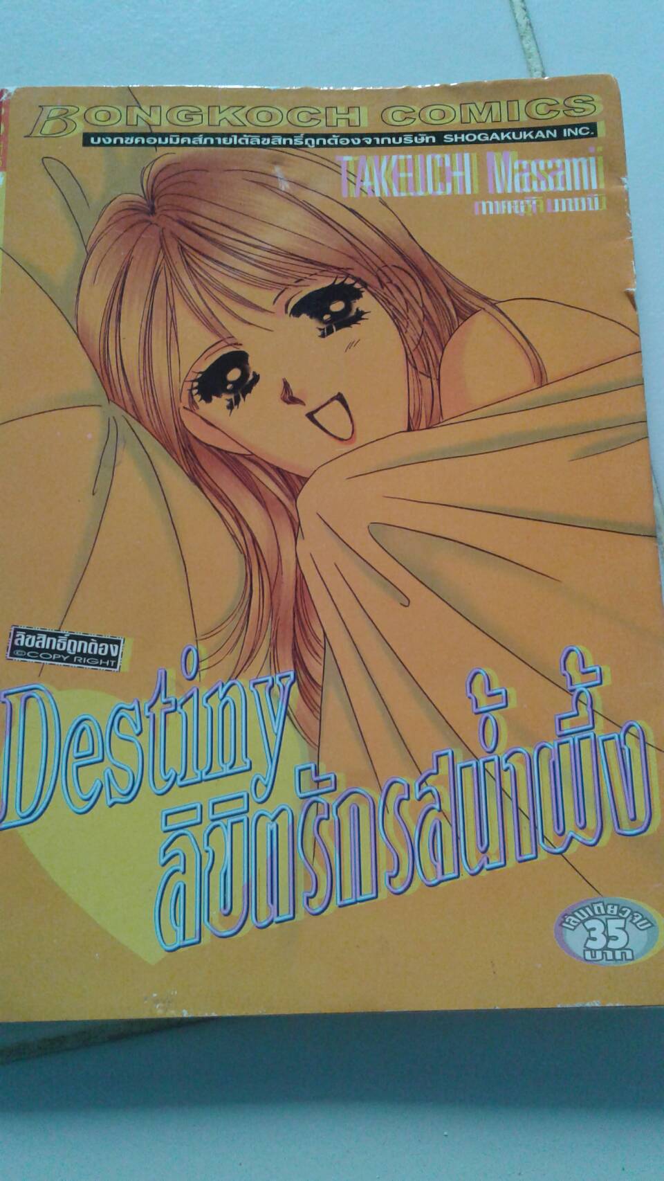 Destiny ลิขิตรักรสน้ำผึ้ง เล่มเดียวจบ
