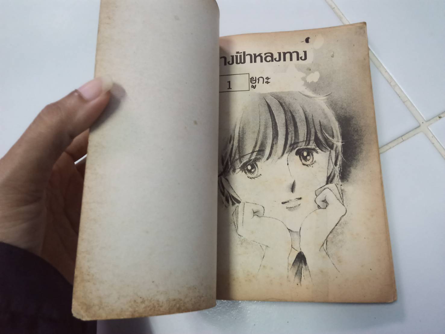 นางฟ้าหลงทาง เล่มเดียวจบ