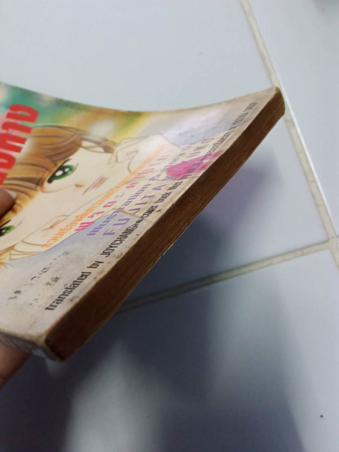 นางฟ้าหลงทาง เล่มเดียวจบ