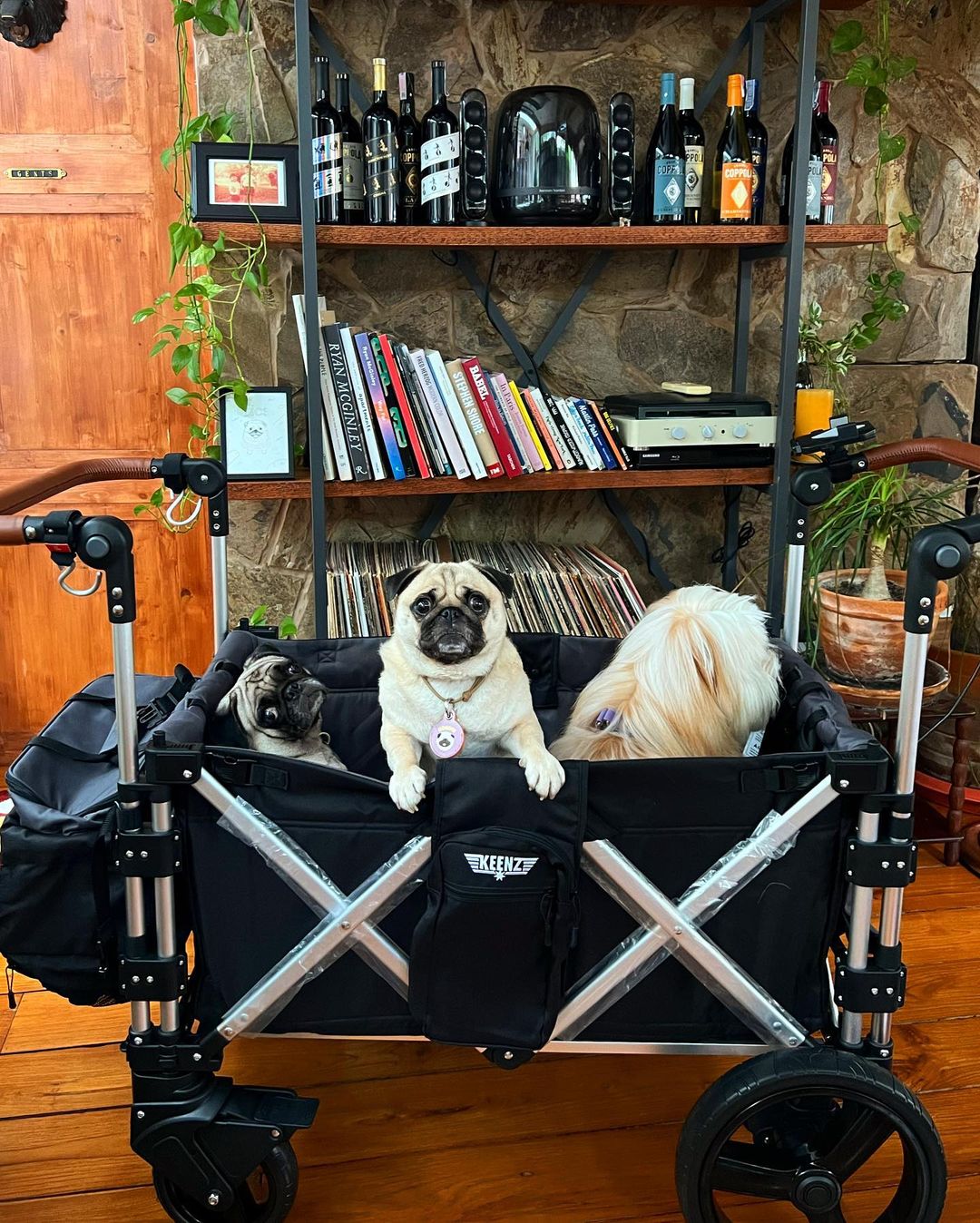 Keenz 7s Pro All Black