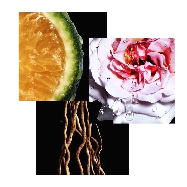 Davidoff Cool Water REBORN for Her EDP 100ml