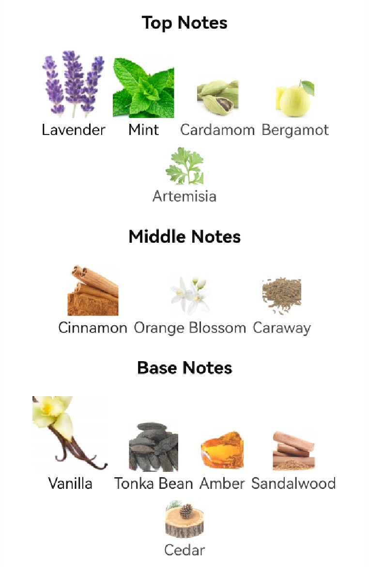 น้ำหอม Jean Paul Gaultiur Le Male for Men EDT 125 ml.