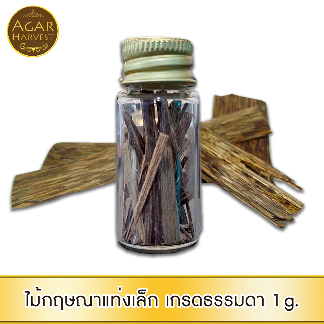 AgarHarvest ไม้ตอกบุหรี่ ไม้กฤษณาแท่งเล็ก แบบธรรมดา ไม้หอม อโรม่า ลดสารพิษ ลดความอ้วน ชลอชรา Agarwood Pick / Cigarette Stick (Standard)