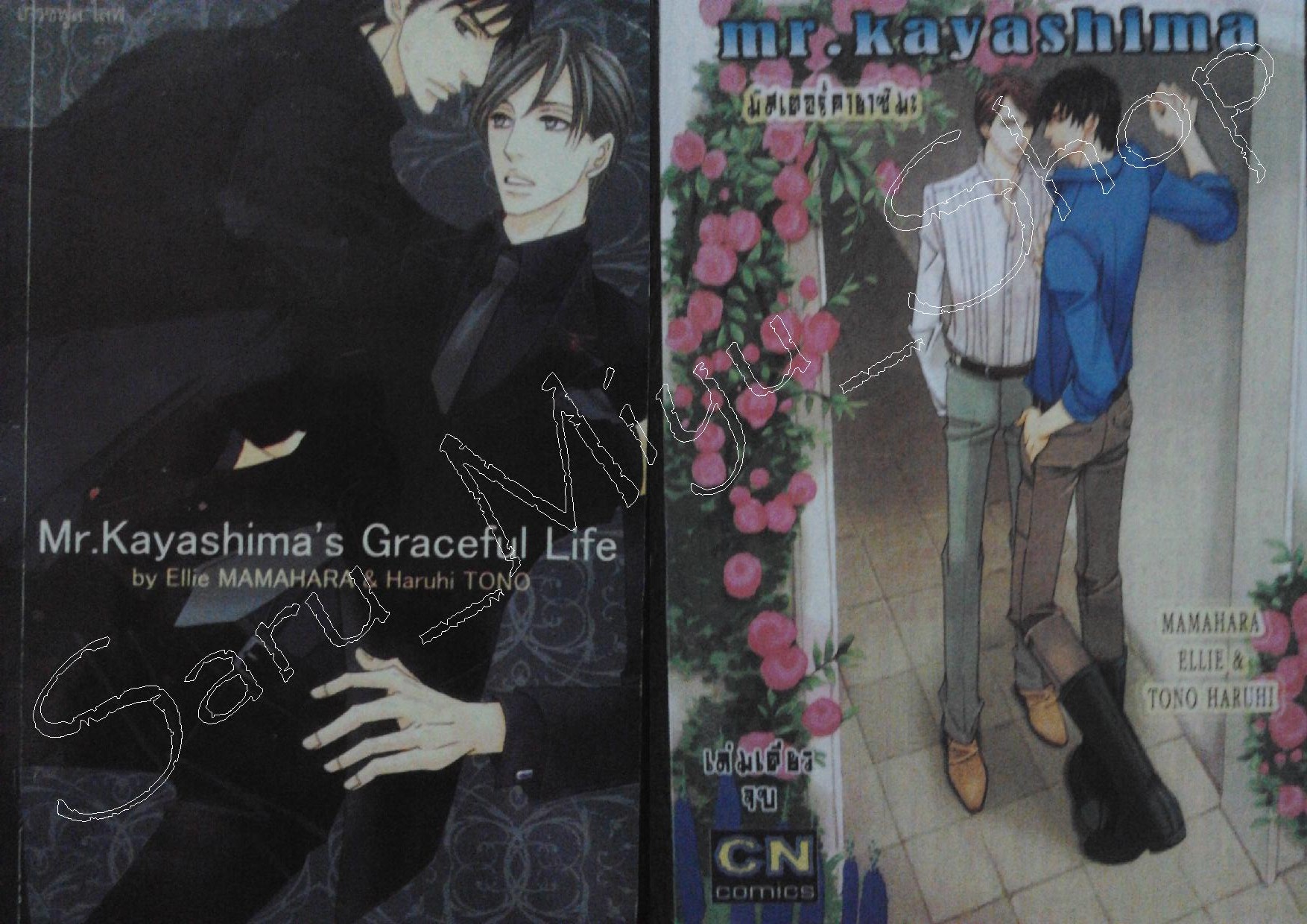 Mr. Kayashima 1-2 (end)