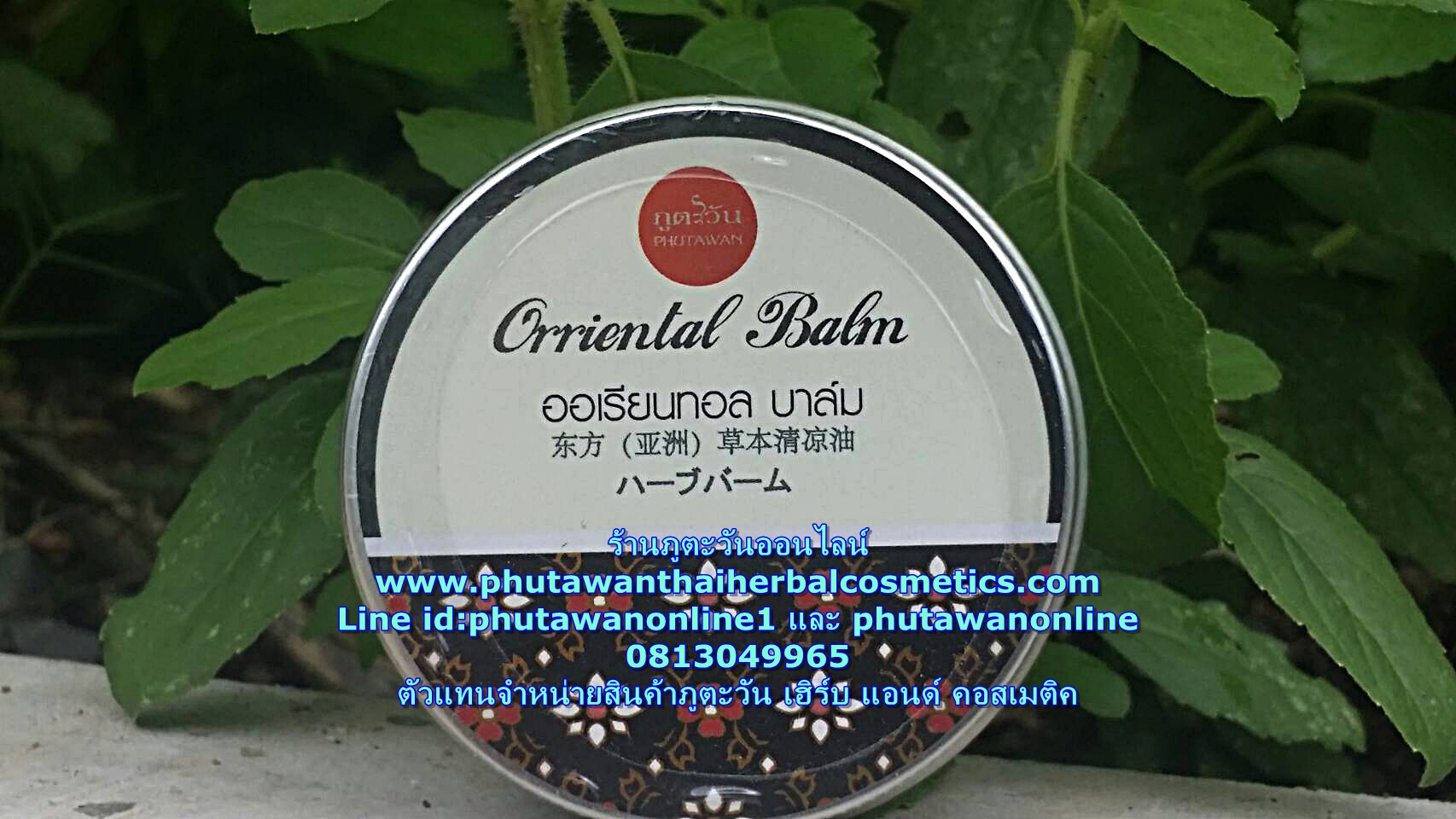 ออเรียลทอลบาล์ม (กลิ่นลาเวนเดอร์) Oriental Balm