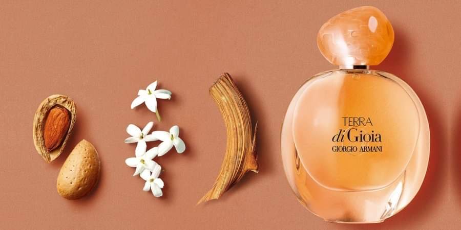 น้ำหอม Armani Terra Di Gioia EDP 100ml