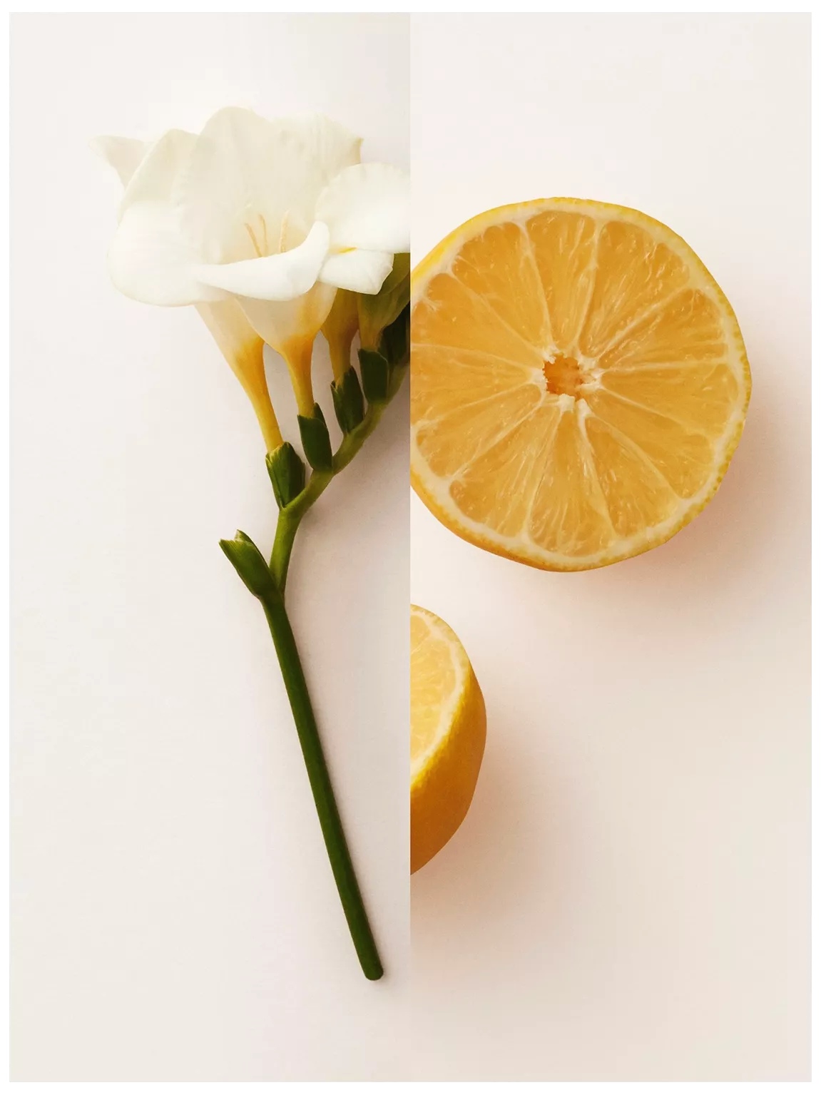 น้ำหอม MY BURBERRY EDP