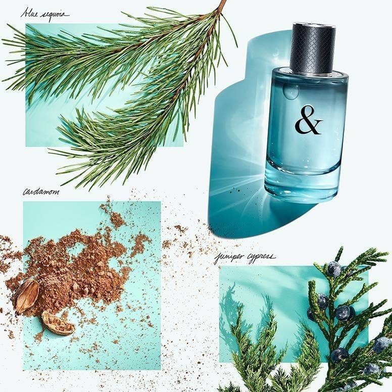 น้ำหอม Tiffany & Love for Him 90ml