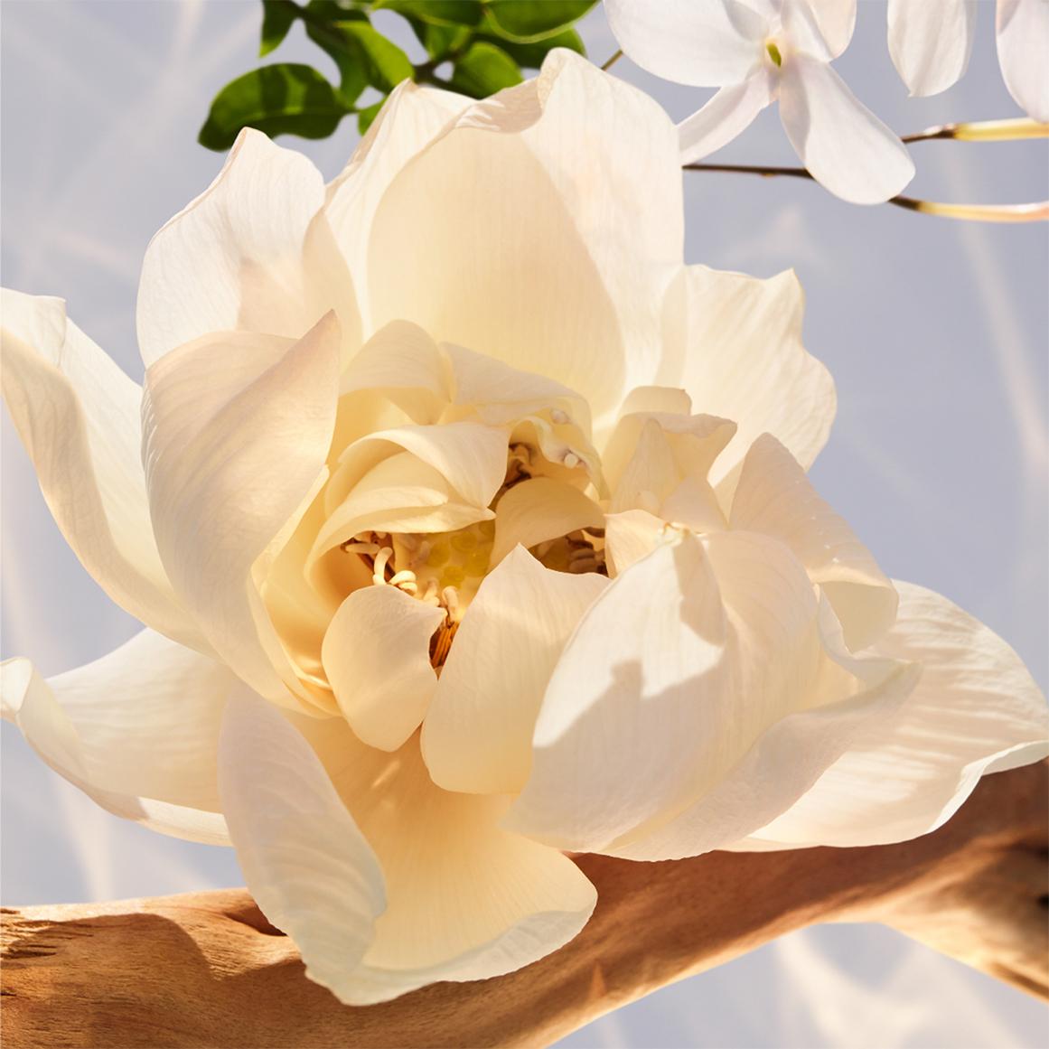 น้ำหอม Bvlgari Omnia Crystalline edp 100ml