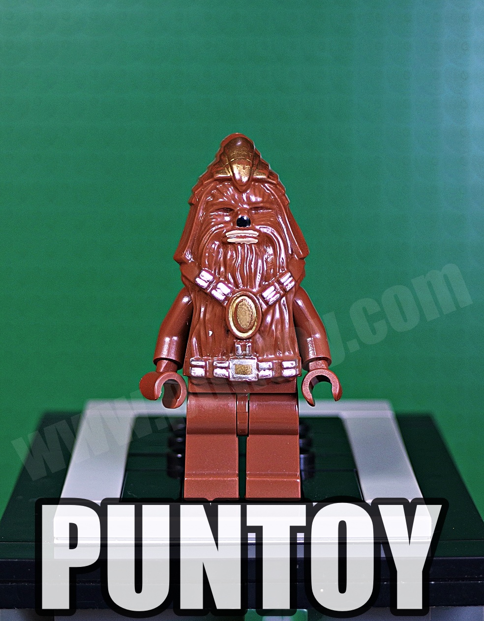 sw0132 : Wookiee Warrior