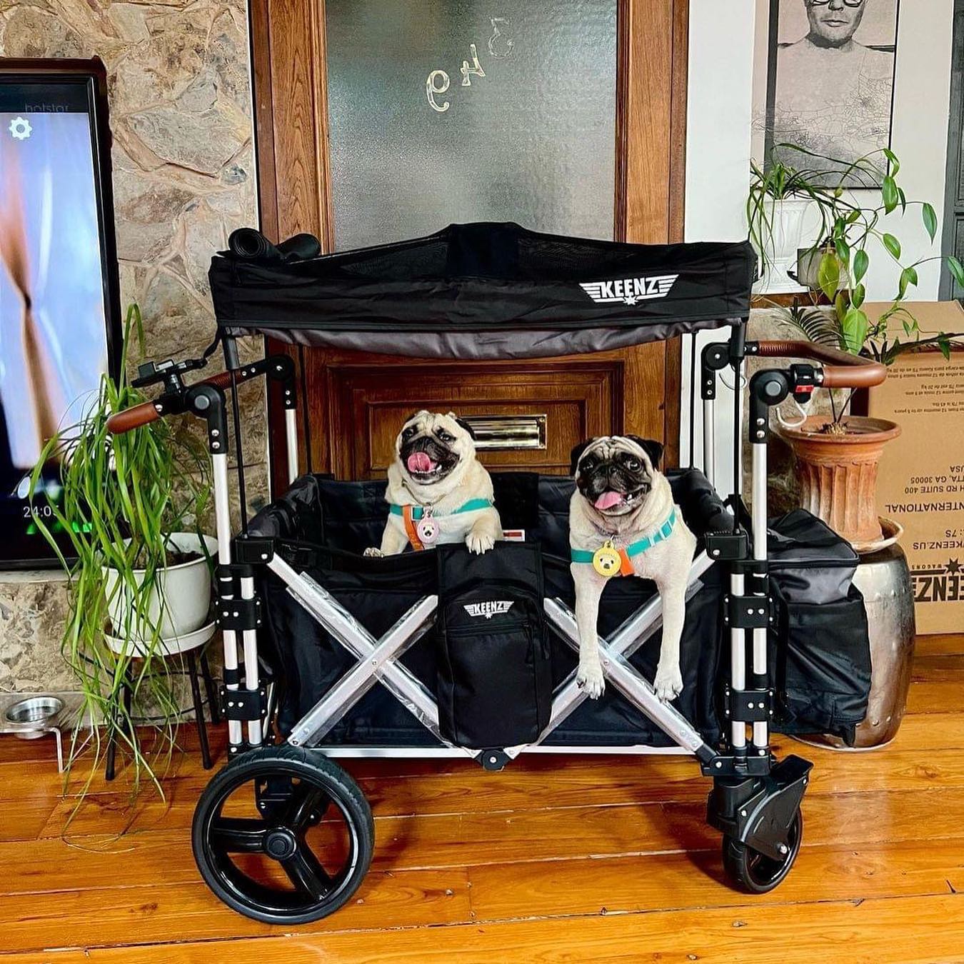 Keenz 7s Pro All Black