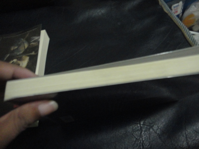 Porcelanin ตุ๊กตาอาฆาต