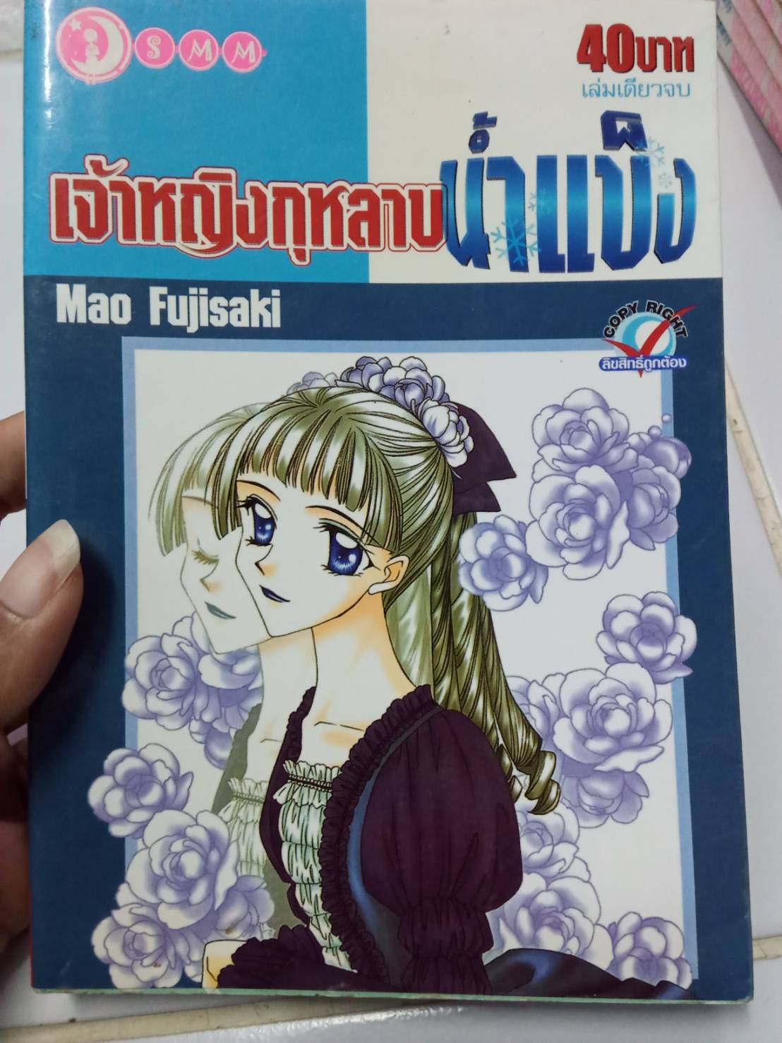 เจ้าหญิงกุหลาบน้ำแข็ง เล่มเดียวจบ