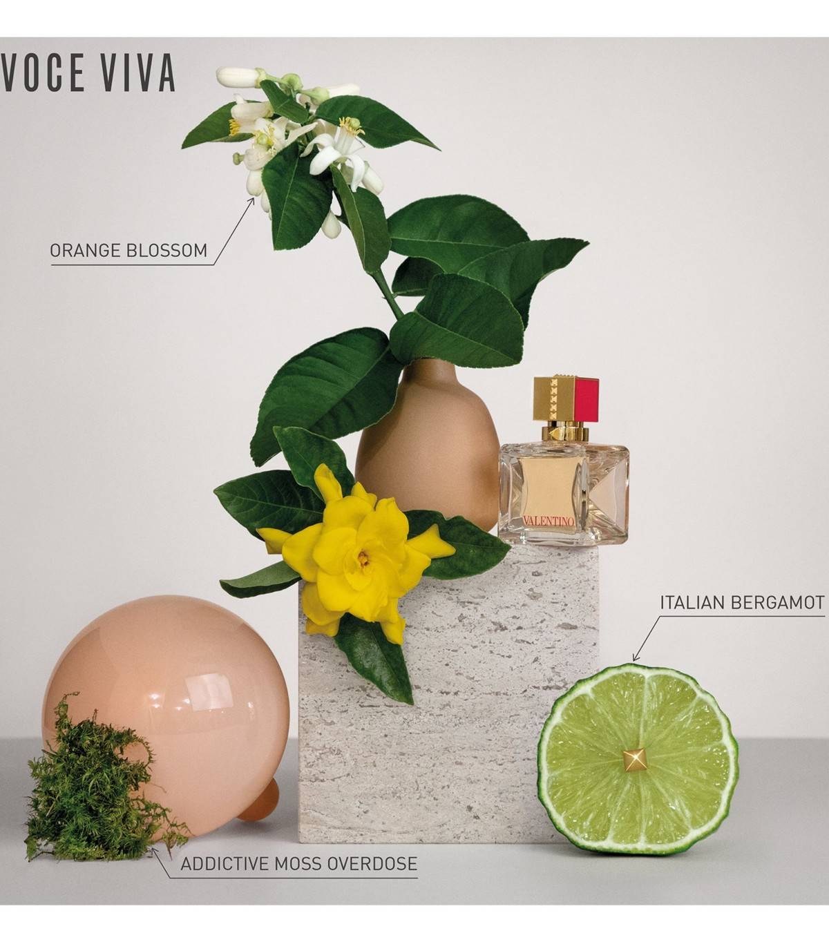 น้ำหอม Valentino Voce Viva EDP