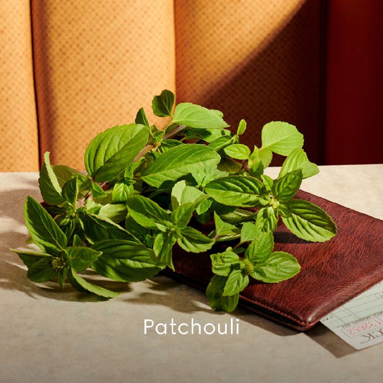 น้ำหอม Guilty Intense Pour Femme EDP 90ml