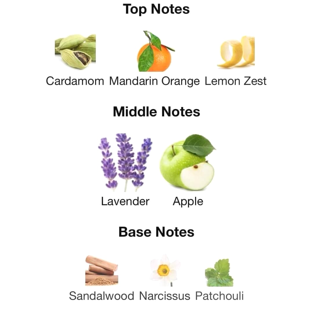 น้ำหอม Lacoste eau de Lacoste L.12.12 Pour Lui French Panache EDT 100 ml