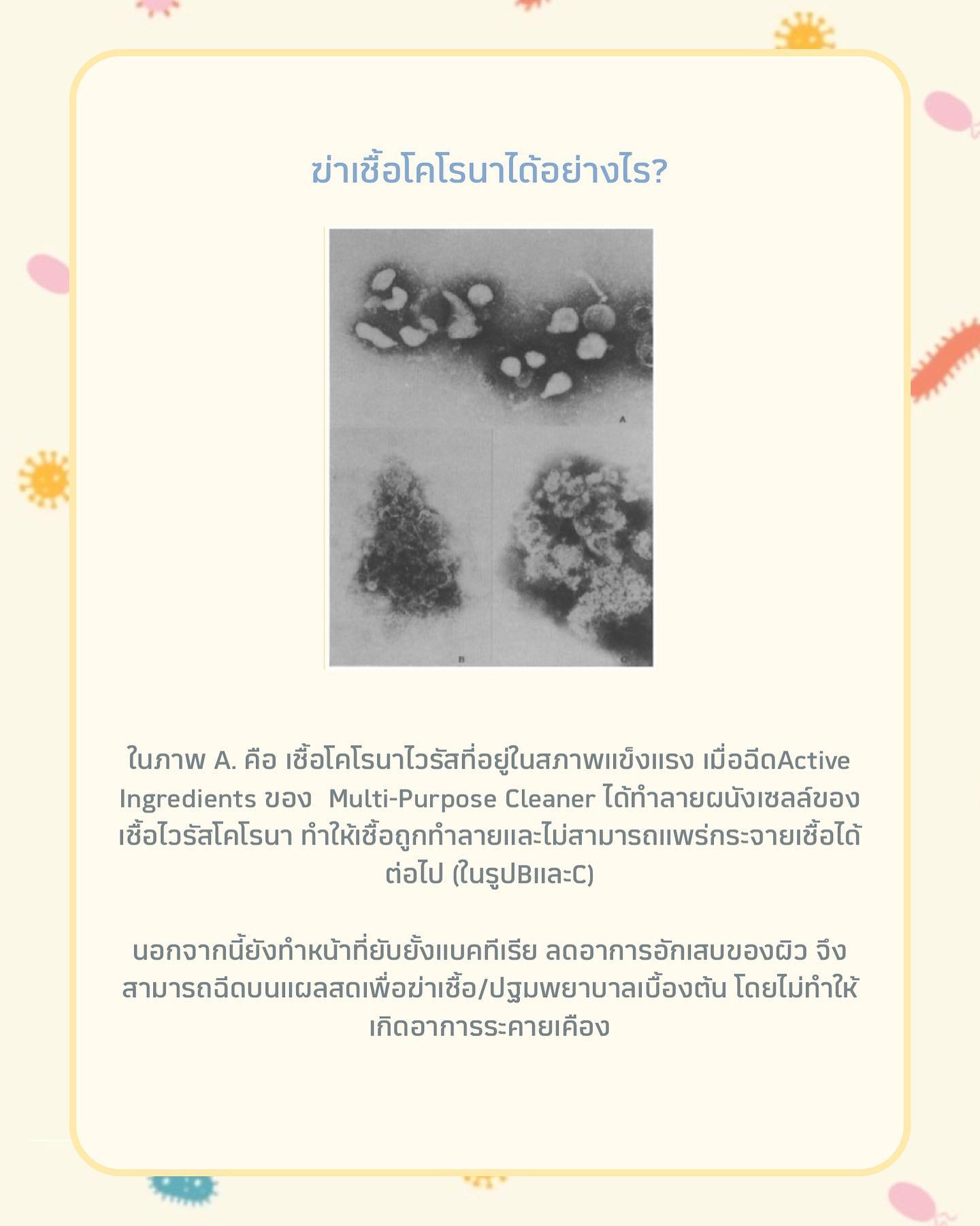 Organikos Lauvh สเปรย์ทำความสะอาดอเนกประสงค์
