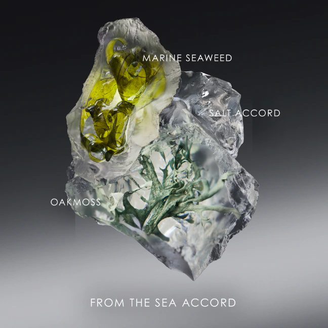 น้ำหอม Issey Miyake Le Sel d’Issey EDT