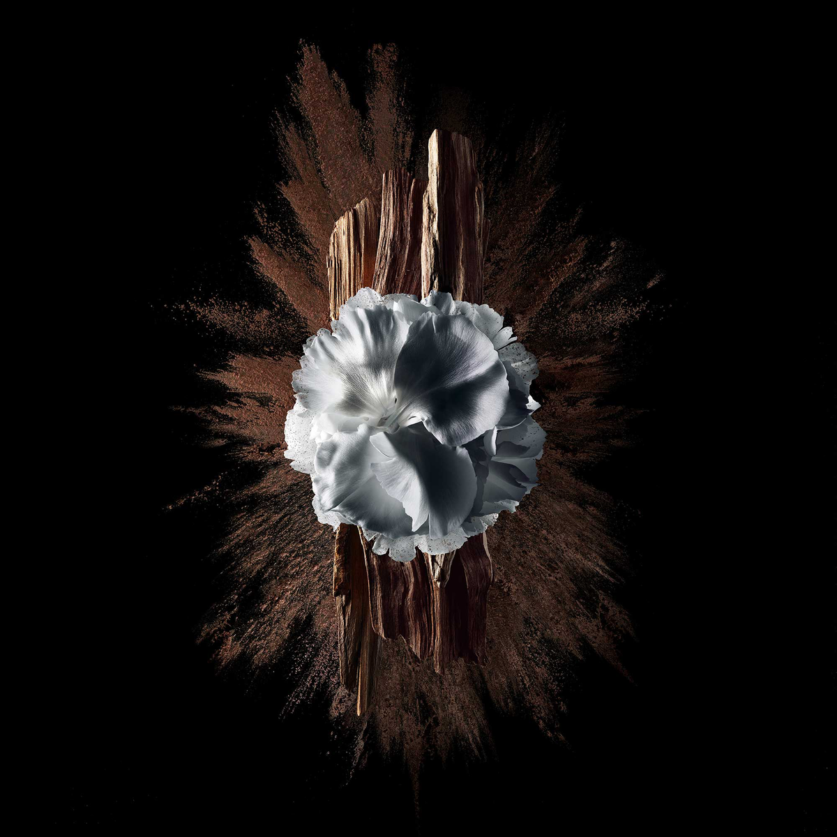 น้ำหอม Givenchy Gentlemen Society Edp