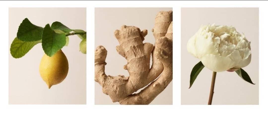 น้ำหอม Burberry London Dream EDP