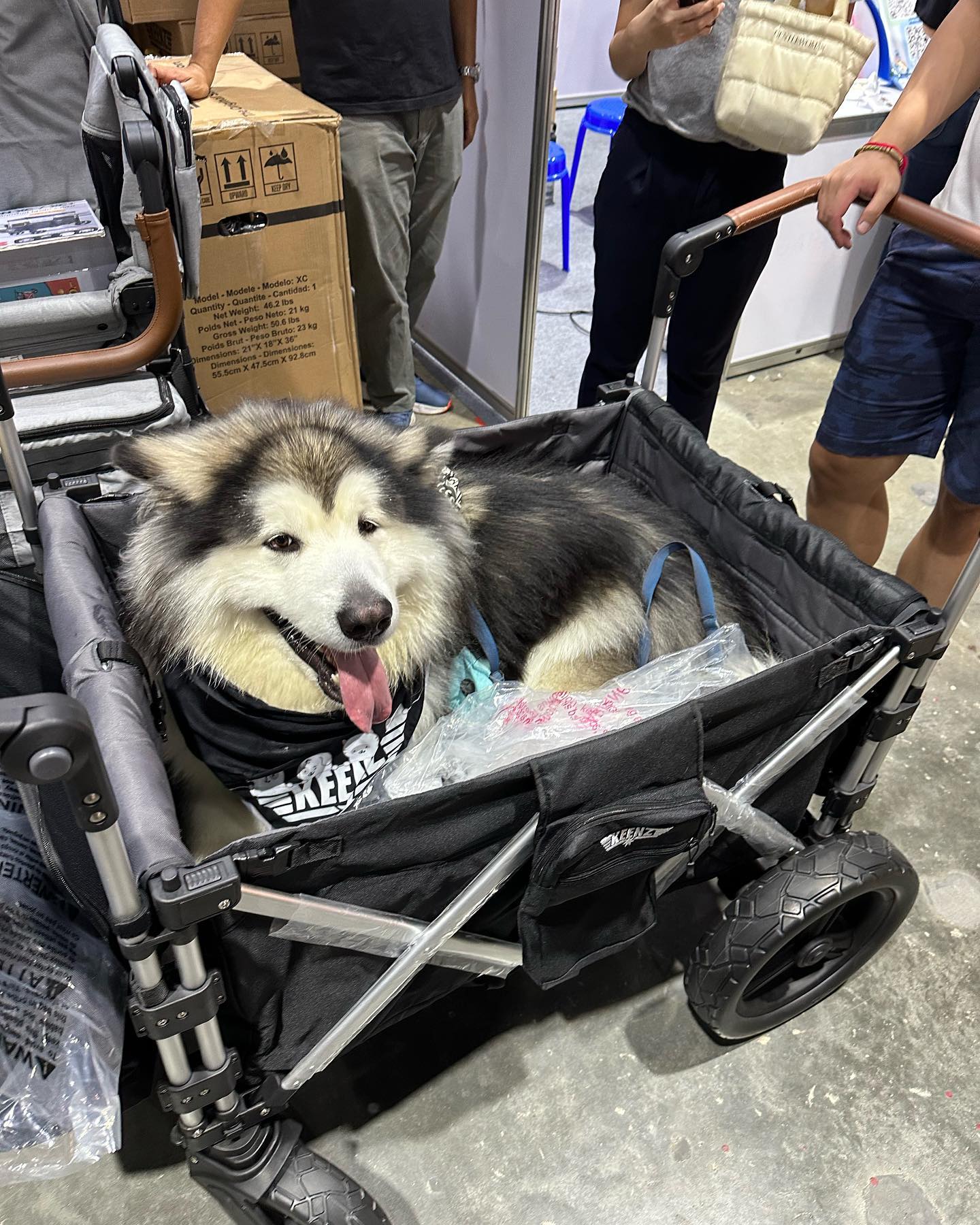 KEENZ 7S PLUS+ Humvee Wagon รถเข็นแบบ 4 ที่นั่ง